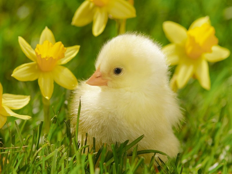 Spring has arrived!