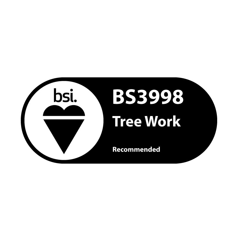 BSI - BS3998 Tree Work